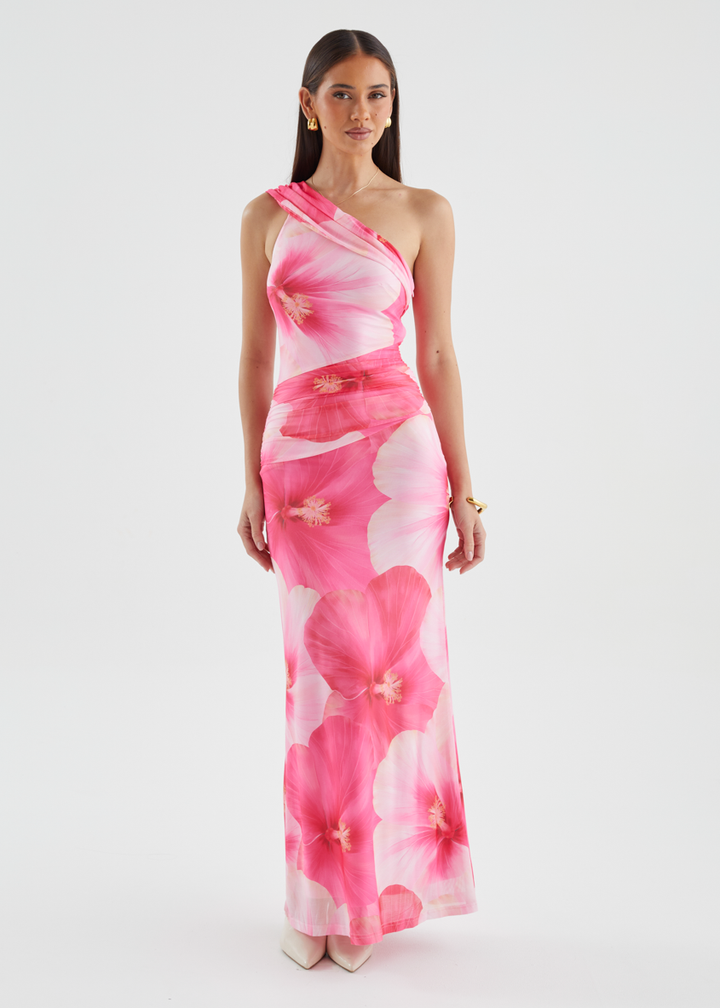 Allina Mesh Maxi Dress - Blush Flowers