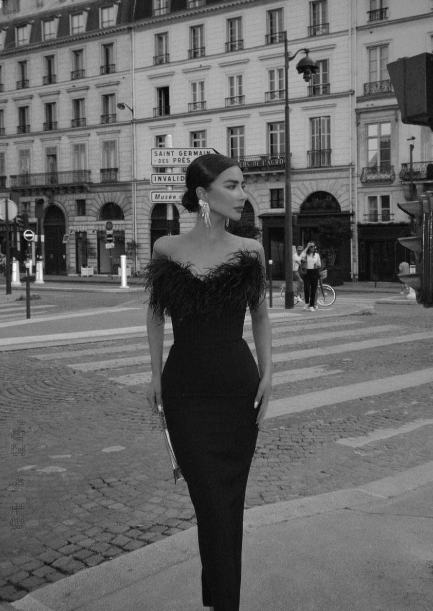 Zosia | Robe en Plumes Noires