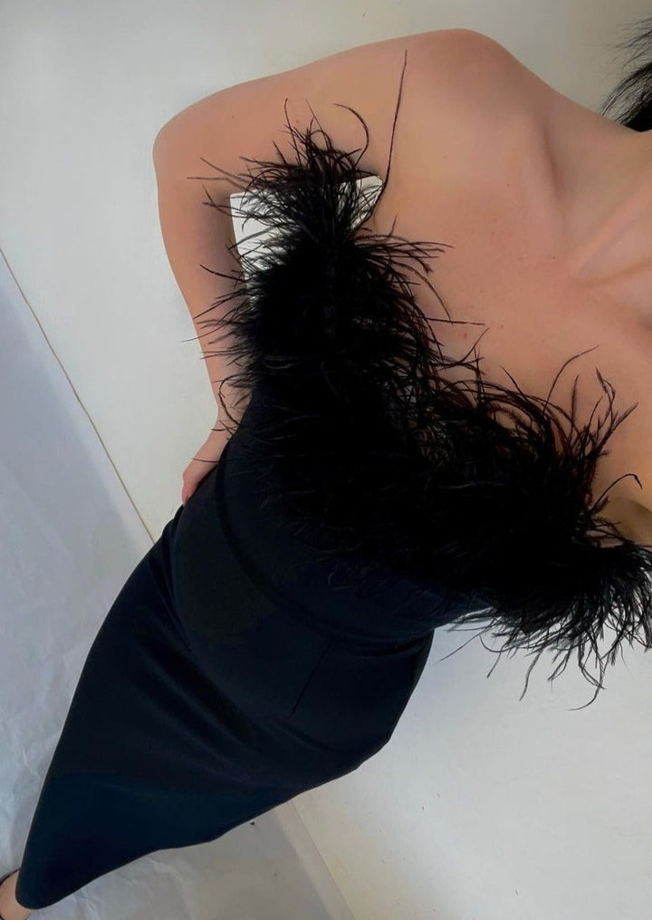 Zosia | Robe en Plumes Noires