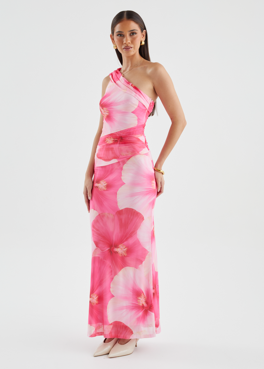 Allina Mesh Maxi Dress - Blush Flowers