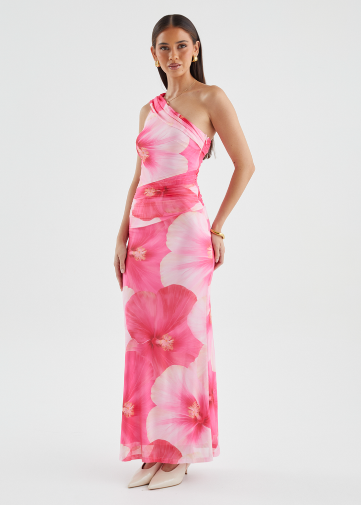 Allina Mesh Maxi Dress - Blush Flowers