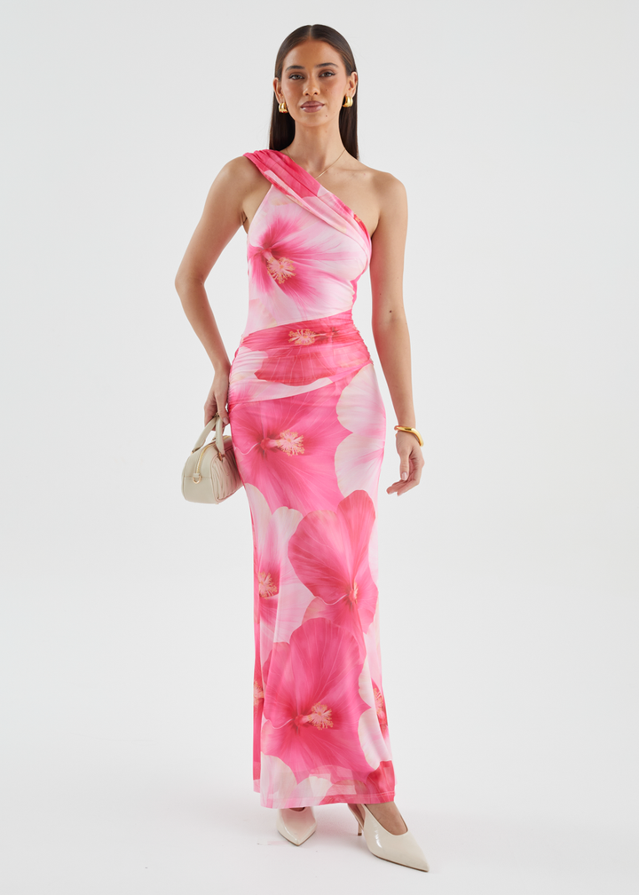 Allina Mesh Maxi Dress - Blush Flowers