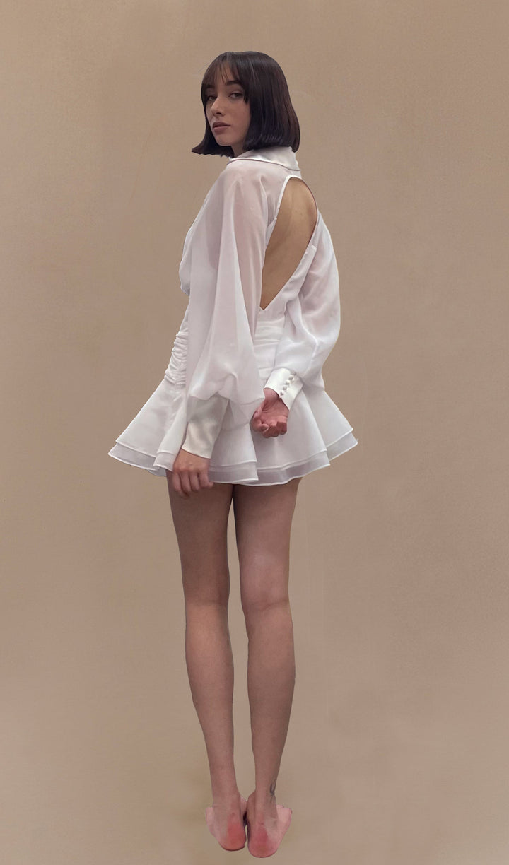 Eithne | Sheer-Sleeve Collared Mini Dress